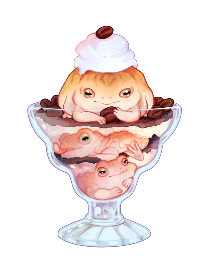 Coffee bean dessert frog