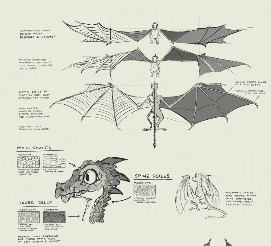 character design